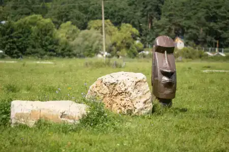 Дикая Мята - 186