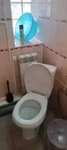 Зеленый дворик - 29