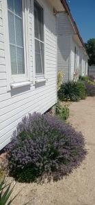 Жара - 22