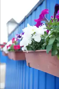 Комфорт - 3