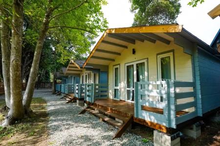 Forest house - 3