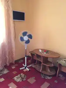 Артемис - 80