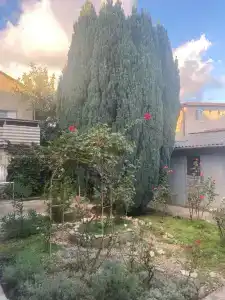 Комната у моря - 2