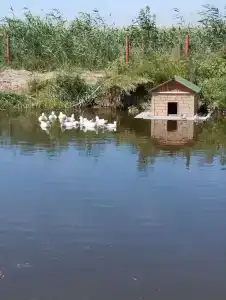 Гостевой дом на Пролетарской 102Б - 8