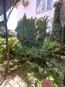 Селина - 3
