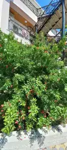 Графская бухта - 6