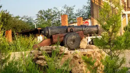 Термальный Источник Золотая Рыбка - 13