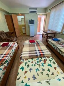 Guest House Ekaterina - 49