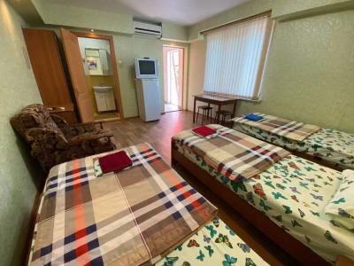 Guest House Ekaterina - 53