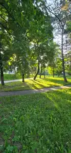 Местные традиции - 13