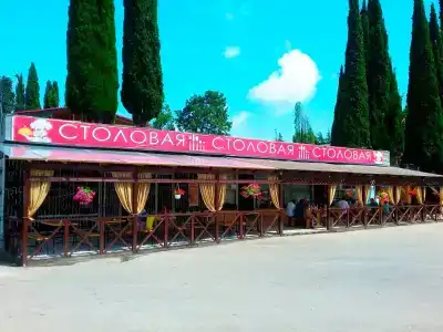 Пальма - 2