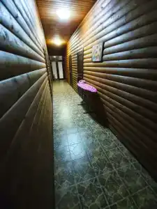 Пальма - 3