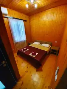 Пальма - 10