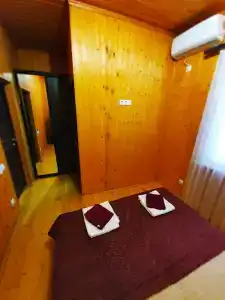 Пальма - 11