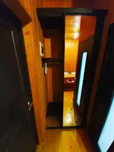 Пальма - 13