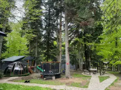 Экосфера - 13