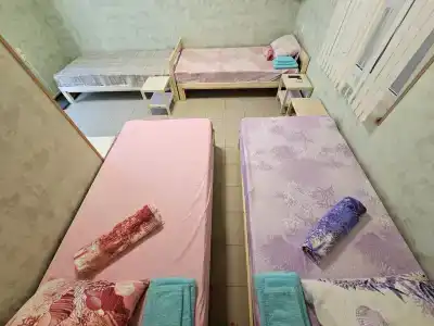Шалфей - 4