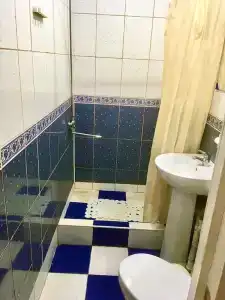 Частный дом у Петра - 6
