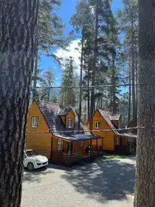 Arkhyz forest house - 1