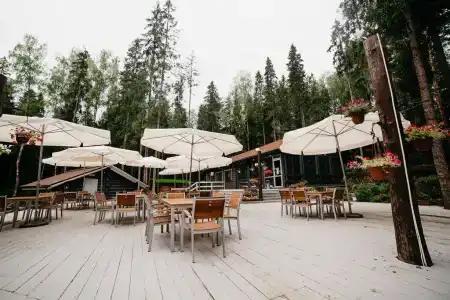 Романов Лес - 3