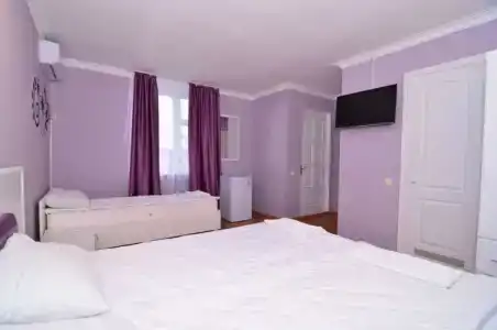 Горизонт - 49