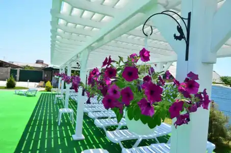 Горизонт - 59