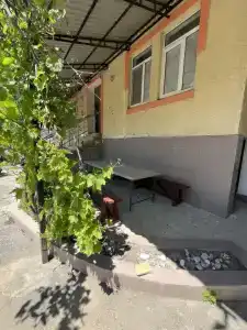 Диана - 11
