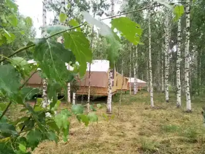 Новая деревня - 1