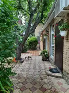 Уютный Дворик - 2