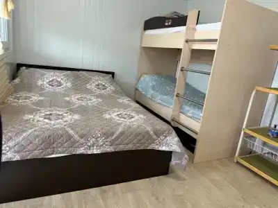 Золотари - 1