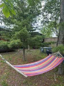 Золотари - 8