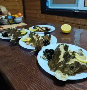 Green Island - 11