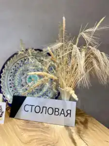 Виколь - 9