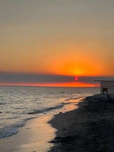 Sun Beach - 0