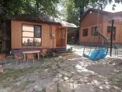Чинара - 4