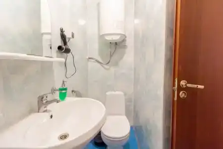 Колос - 19