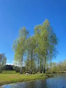 Жуковка-Village - 27