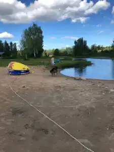Жуковка-Village - 44