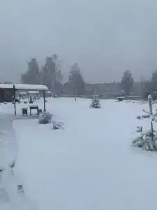 Жуковка-Village - 98