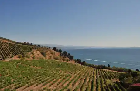 Вилла Аннигора - 81