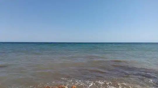 Тортуга - 5