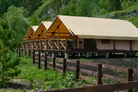 Кедровый берег - 5
