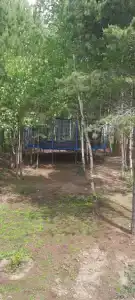 Заимка - 46
