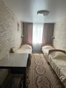 Ирбис - 33