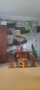 Гостевой дом на Лесной, 9А - 16