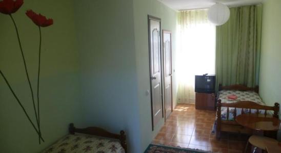 Маргарита - 101