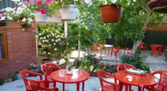 Маргарита - 122