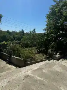 Amanda - 4