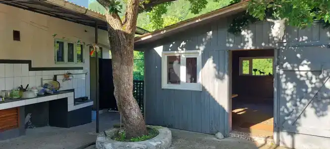 Домик в горах по дороге на Рицу - 1