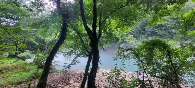 Домик в горах по дороге на Рицу - 6